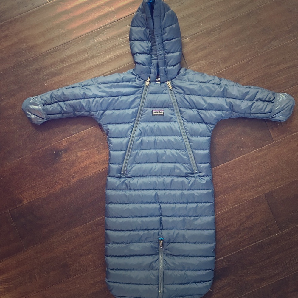 Patagonia Bunting